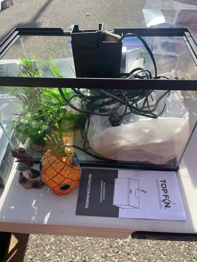 fish tank