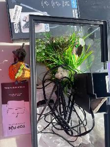 fish tank - Photo 2