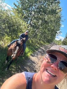 "Chief" approx 16.3HH draft x gelding - Photo 3