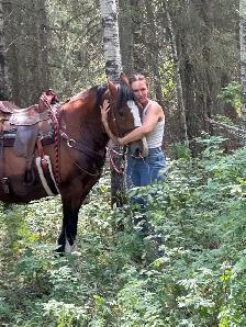 "Chief" approx 16.3HH draft x gelding - Photo 5