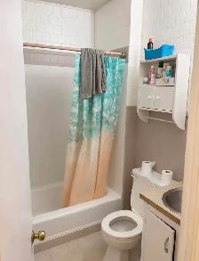 2 bedroom 1 bath Downtown Ottawa Rental - Photo 5