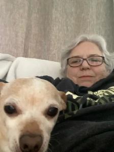 In-Home Pet Sitting & Dog Walking | Small Dogs & Cats - Photo 5