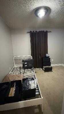 Rooms for rent