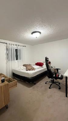 Rooms for rent - Photo 2