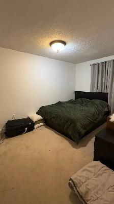 Rooms for rent - Photo 3