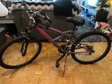 mountain bike