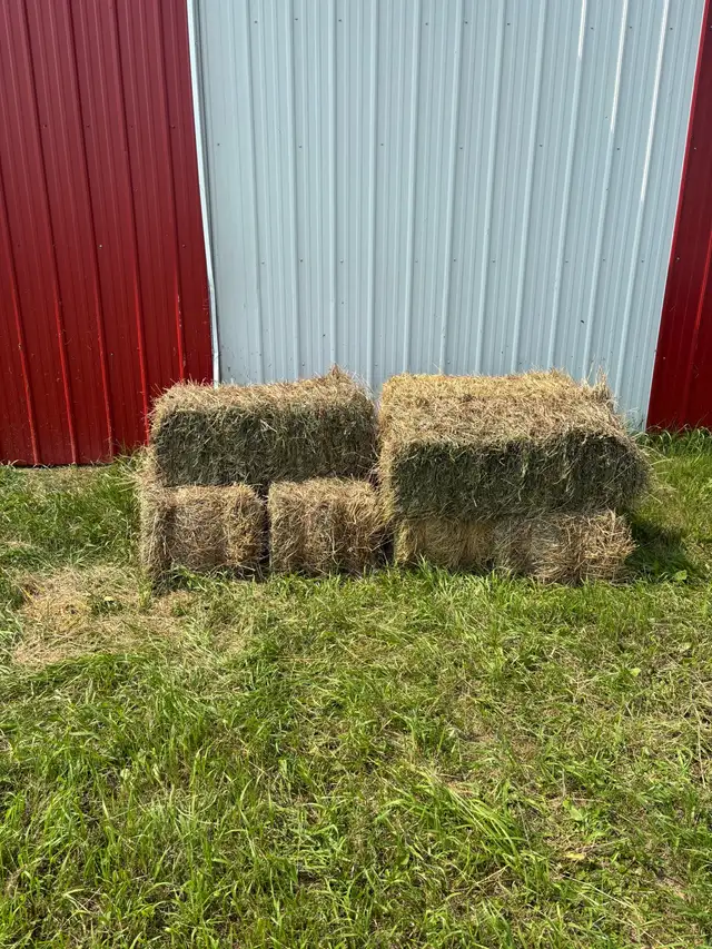 SQUARE HAY BALES