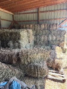 SQUARE HAY BALES - Photo 3