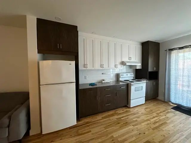 Magnifique appartement 3 1/2 rénové dans Quartier Rosemont