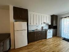 Magnifique appartement 3 1/2 rénové dans Quartier Rosemont