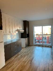Magnifique appartement 3 1/2 rénové dans Quartier Rosemont - Photo 3