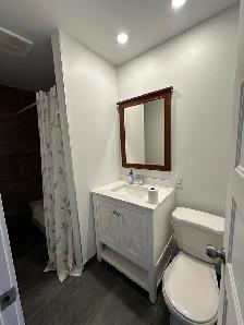 Magnifique appartement 3 1/2 rénové dans Quartier Rosemont - Photo 5