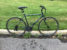 Velo de route giant repeint noir et caméléon 18 vitesse