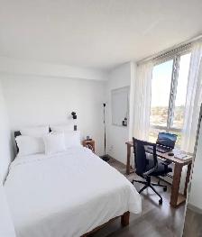 Fully Furnished Room, Free Perks, Move-in Now: 388 Drake Street