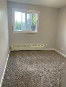 1286 Ponderosa Drive, Sparwood, BC - Photo 9