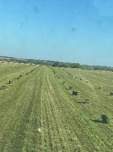 2nd cut Squares