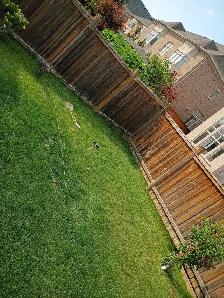 power washing - Photo 4