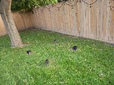 power washing - Photo 7