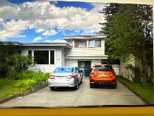 VERY NICE Close to U of C second floor and basement furnished be