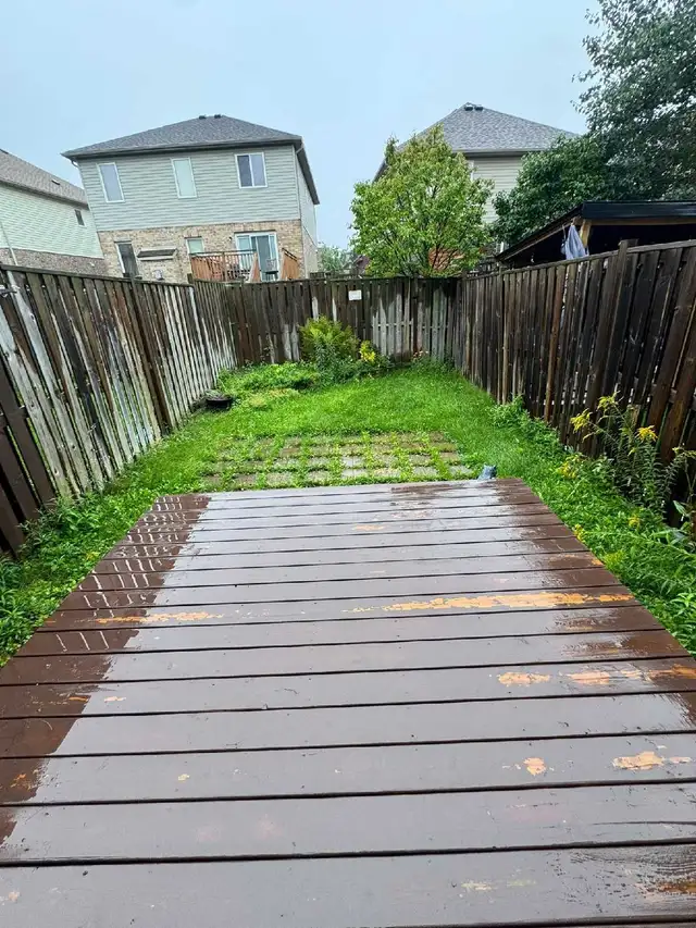 affordable landscaping,  deck staining