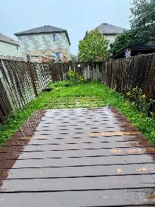 affordable landscaping,  deck staining