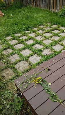 affordable landscaping,  deck staining - Photo 2