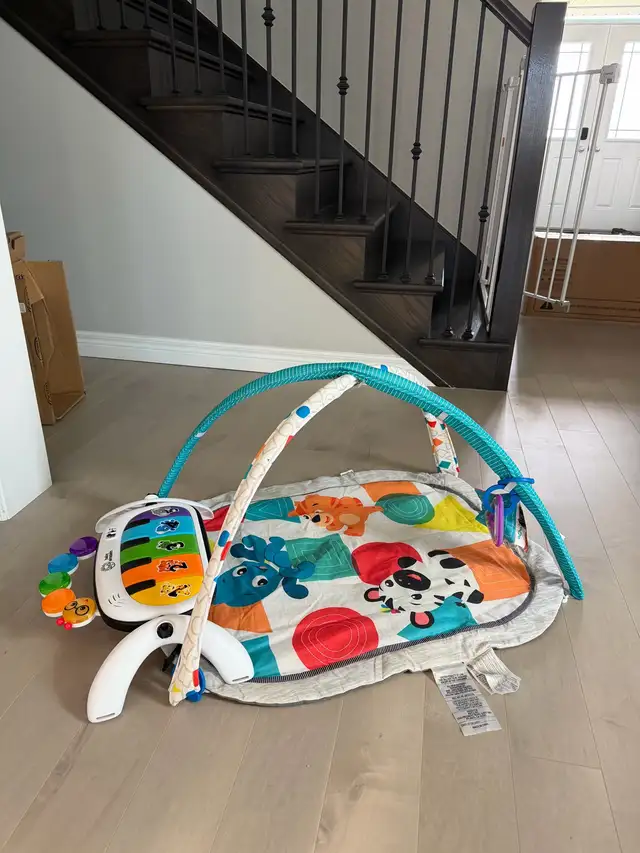 Baby Einstein Play Gym