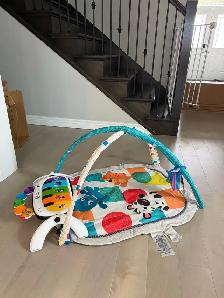 Baby Einstein Play Gym