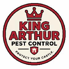 Pest Control Mississauga | Mice, Ants, Cockroaches & Wasps