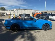 2025 Ford Mustang GT Premium|Automatic - Photo 4
