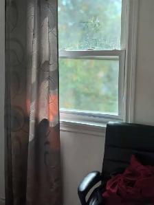 In Room Private Bath - Fantastic Value - Photo 8