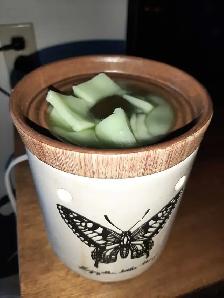 Handmade Soy Wax Melts — 6 Scents - Photo 8
