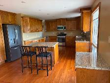 Country Home For Rent Outside of Foredt - Photo 6