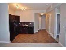 2 BR/1 BATH w/ Garage Legal Lower Suite for rent October 4 - Photo 4
