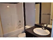 2 BR/1 BATH w/ Garage Legal Lower Suite for rent October 4 - Photo 7