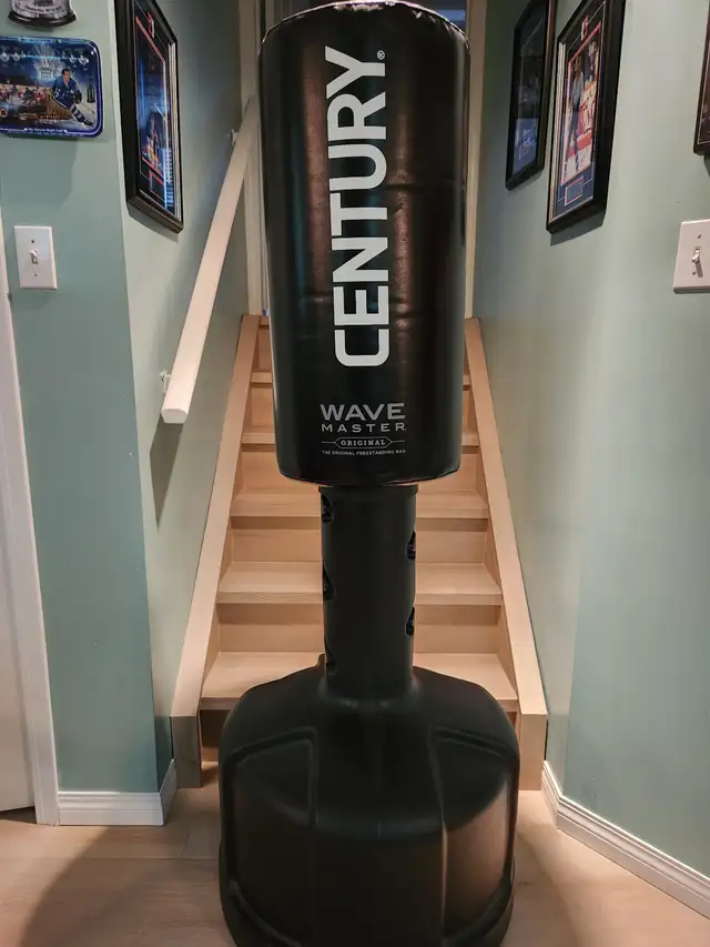 Punching Bag