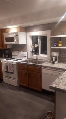 $1000.00 Christmas Bonus experienced Renovators and Helpers