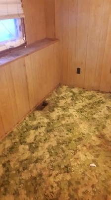 $1000.00 Christmas Bonus experienced Renovators and Helpers - Photo 7