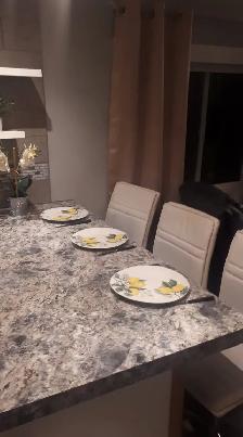 $1000.00 Christmas Bonus experienced Renovators and Helpers - Photo 8