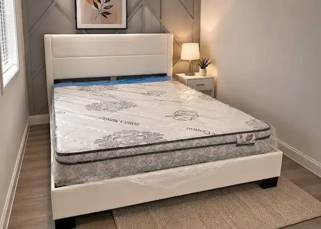 Queen size Bed frame with 10' Mattress Brand New