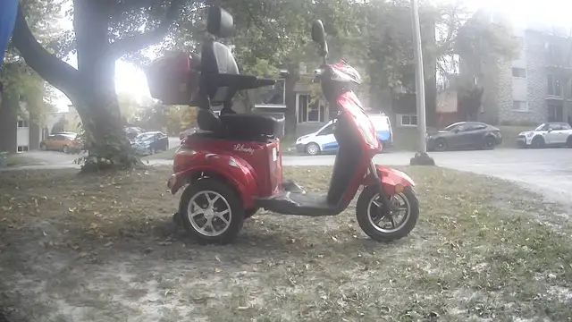 Triporteur