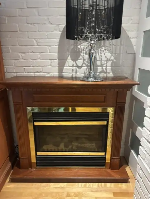 Foyer électrique À DONNER