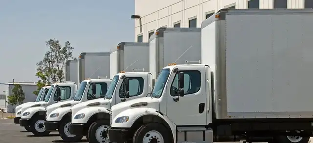OAKVILLE/MILTON/BURLINGTON MOVERS $49/HR-647-569-0434