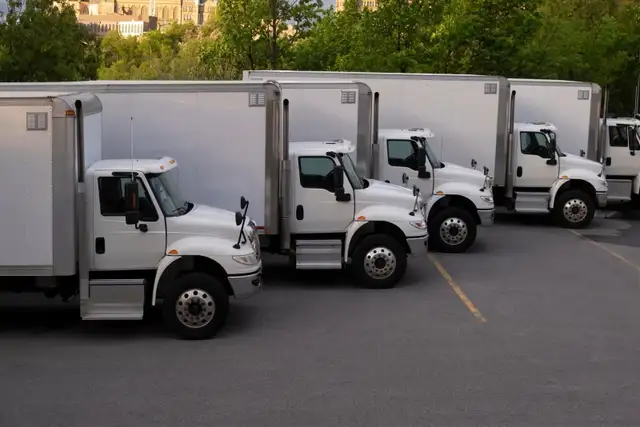 MISSISSAUGA / BRAMPTON MOVERS $49/HR -647-569-0434