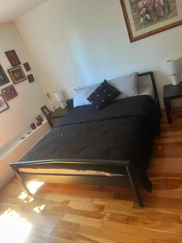 Cleaning Service
