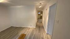 5 1/2 renové avec Jardin, ligne verte Honoré Beaugrand - Photo 2