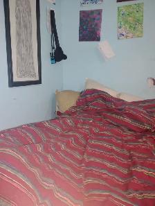Looking for a positive courteous female to share my room