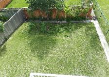 Legal Walkout Basement  | 2 Bed   Den for RENT Arbour Lake - Photo 6