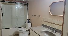 Legal Walkout Basement  | 2 Bed   Den for RENT Arbour Lake - Photo 9