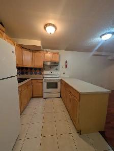 Spacious basement with 2 parking Scarborough - Photo 4